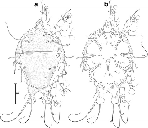 Fig. 11