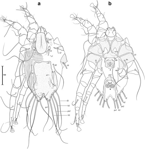 Fig. 13