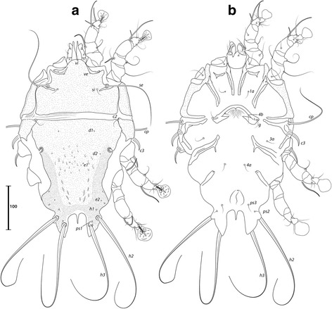 Fig. 12