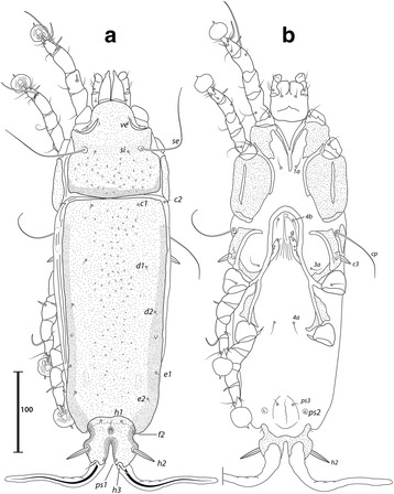 Fig. 5