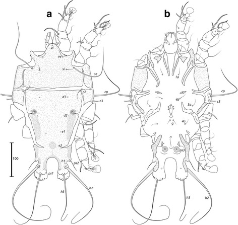 Fig. 7