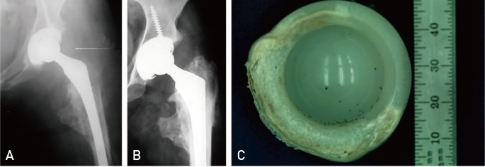 Fig. 12