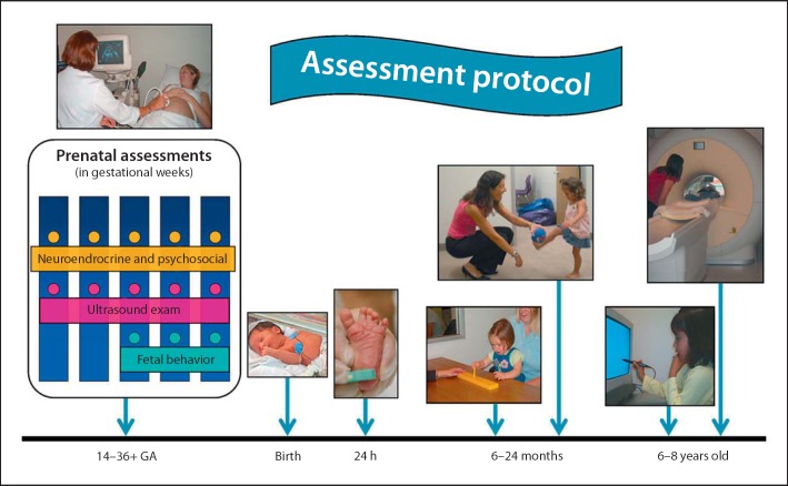 Fig. 2