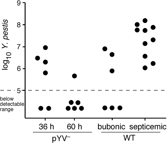 FIG. 4.