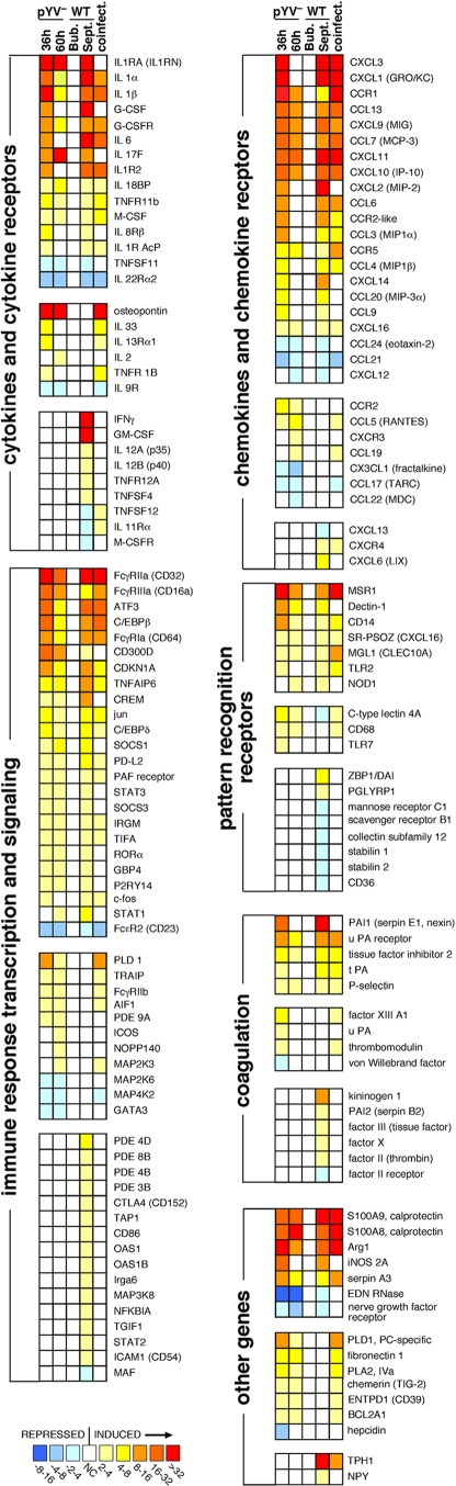 FIG. 6.