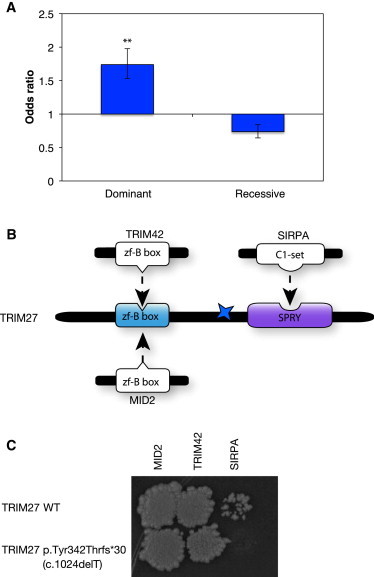 Figure 6