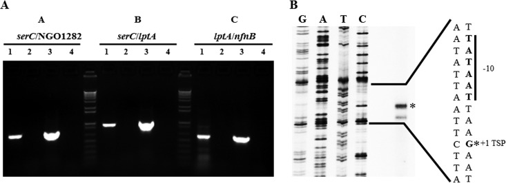 FIG 2