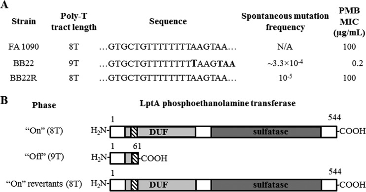 FIG 3