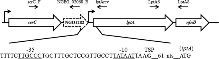 FIG 1