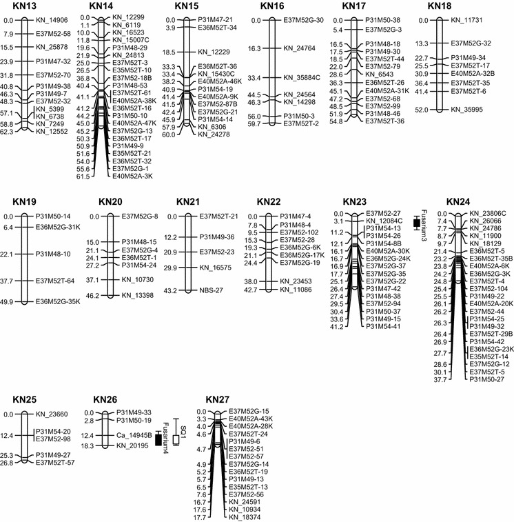 Fig. 2