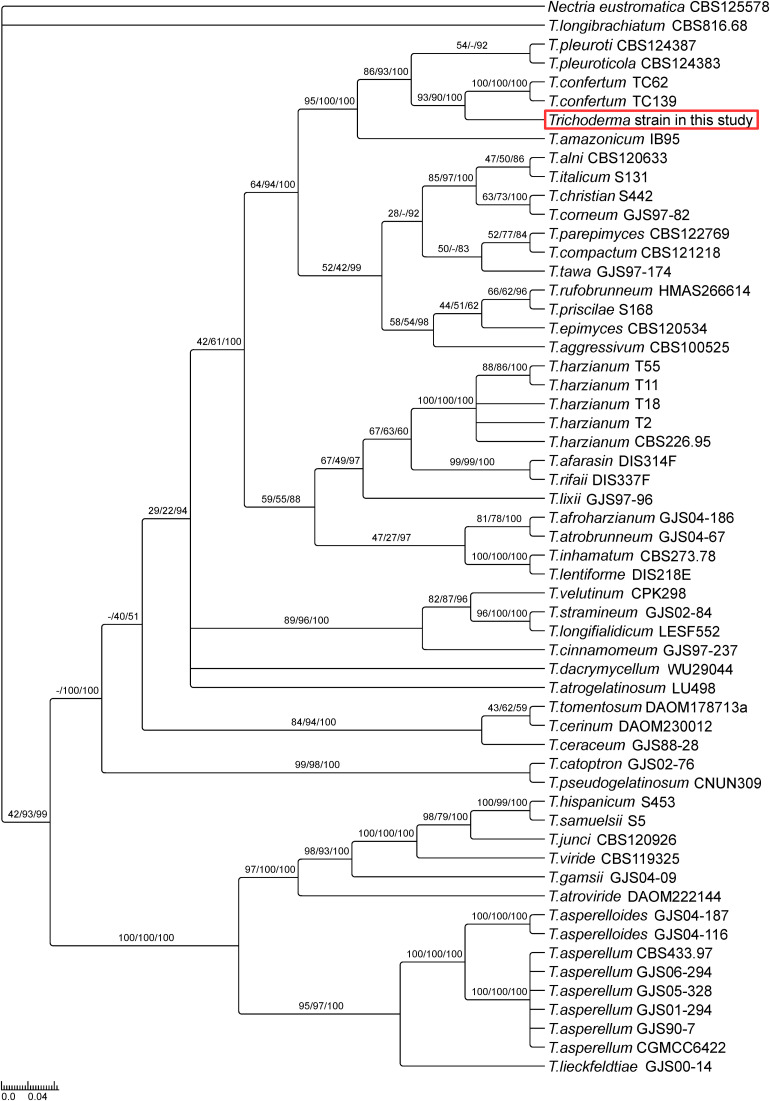 FIGURE 1