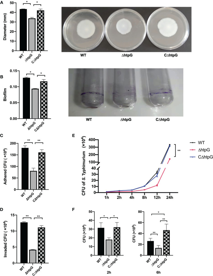 Figure 3