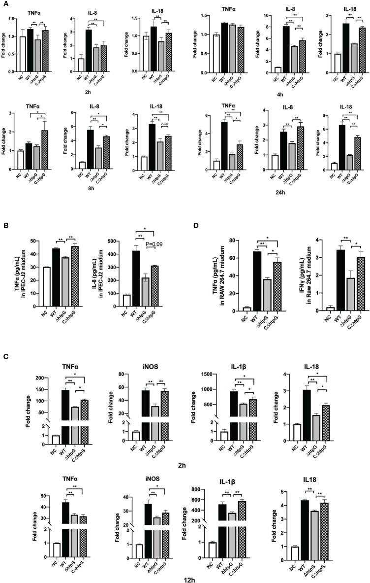 Figure 4