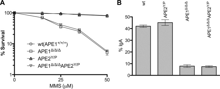 Fig 5