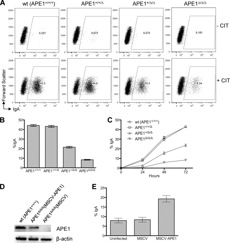 Fig 3