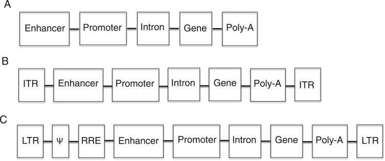 Fig.1