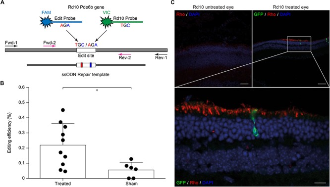 FIGURE 3