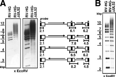 FIG. 5.