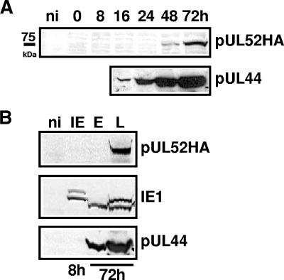 FIG. 9.