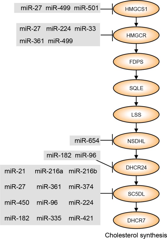 FIG 7 