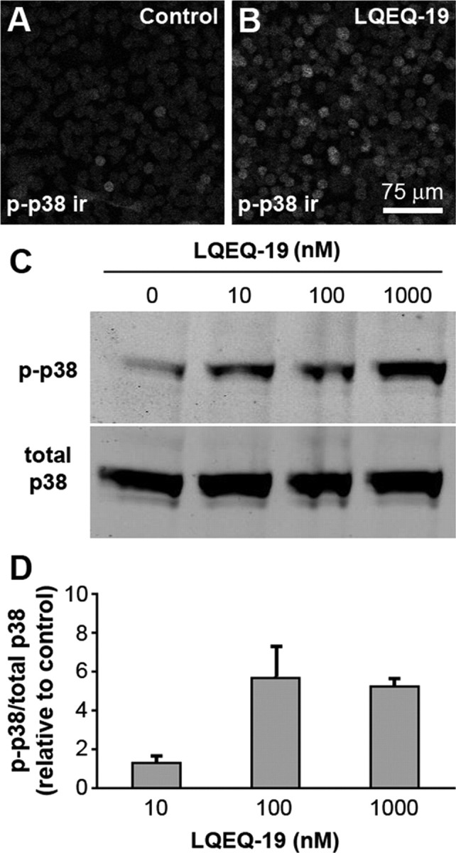 Figure 9.