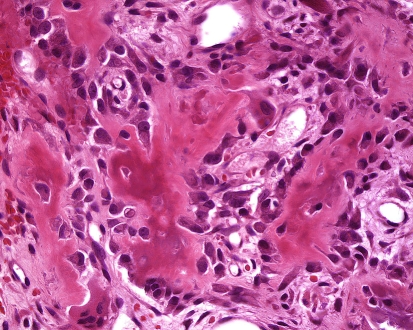 Fig. 6