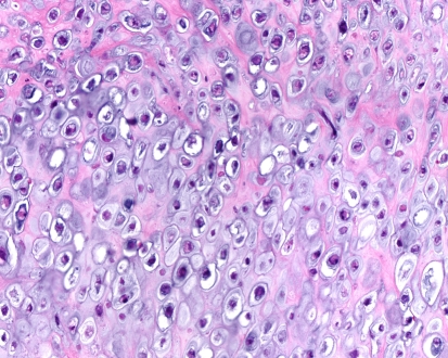 Fig. 9