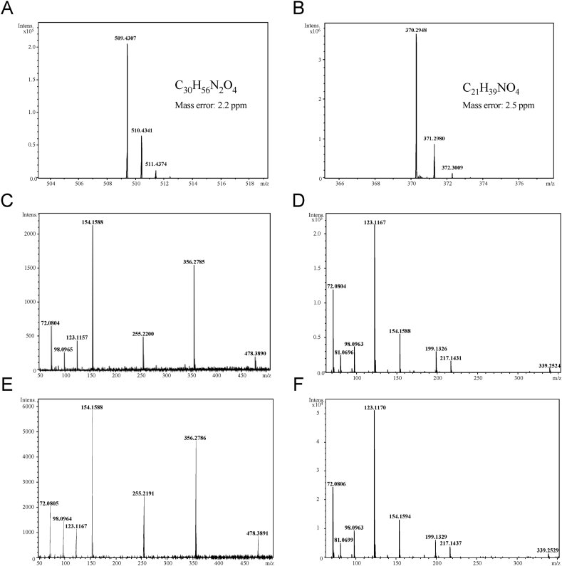 Fig. 3