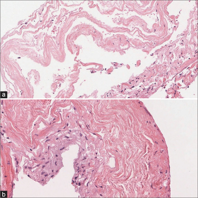 Figure 3: