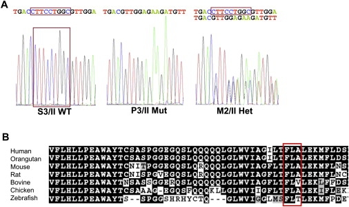 Figure 7