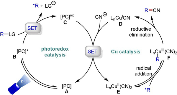 Scheme 16.