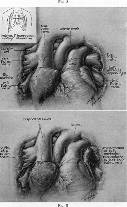 Fig. 8., Fig. 9.