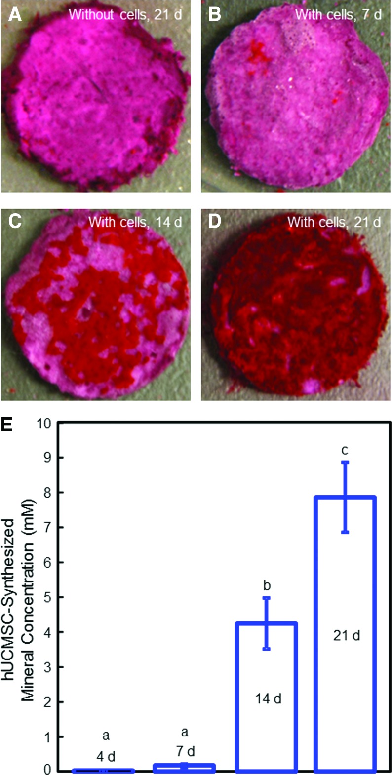 FIG. 5.