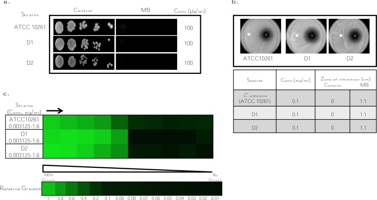 Fig. (1)