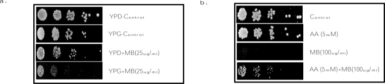 Fig. (4)