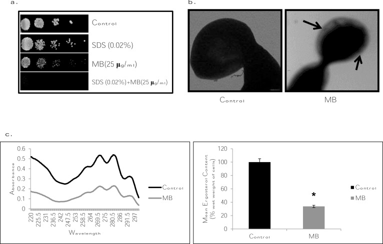 Fig. (5)