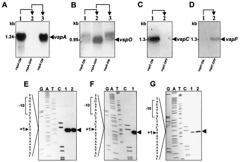 FIG. 7