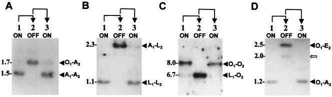 FIG. 6