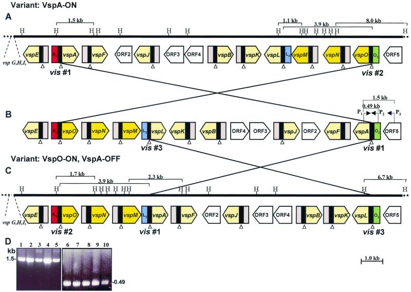 FIG. 3