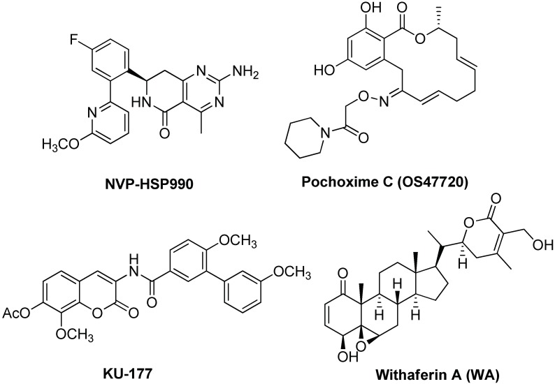 Figure 10