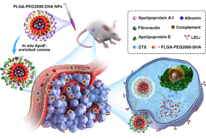 Image, graphical abstract