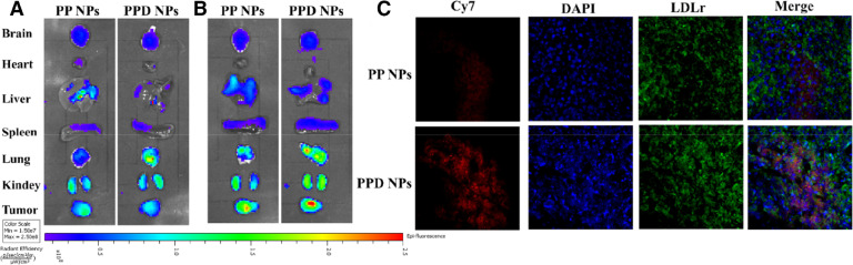 Fig 6