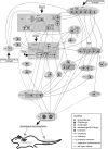 Fig. (2)