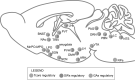 Fig. (7)
