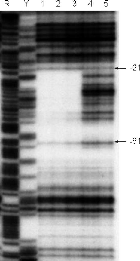 FIG. 7.