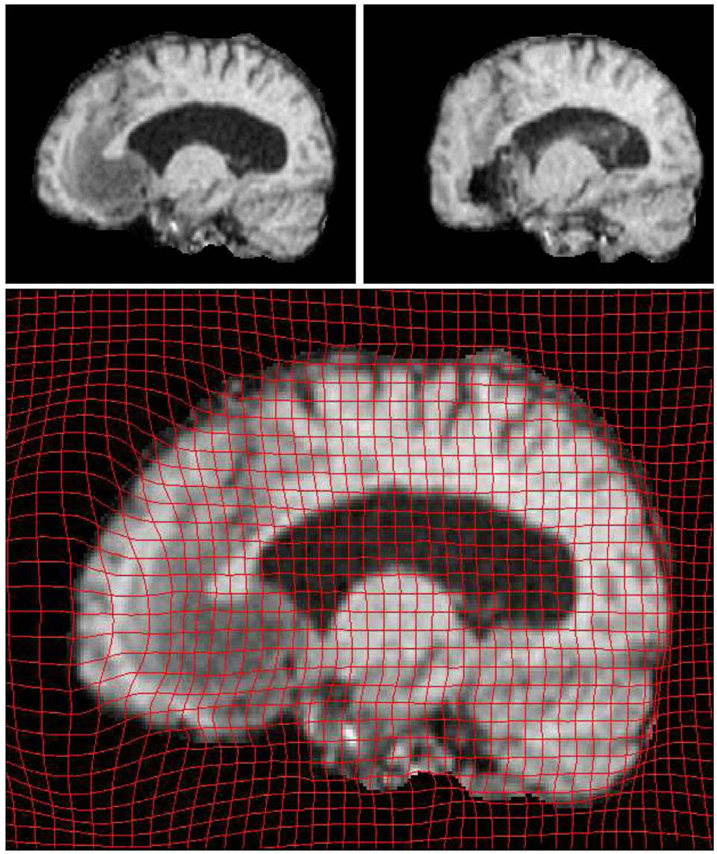 Fig. 7