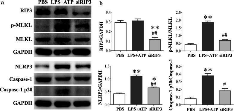 Fig. 7