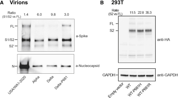 Figure 4