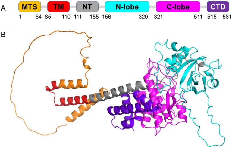 Figure 2