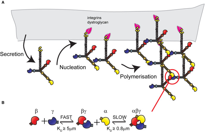 Figure 2.